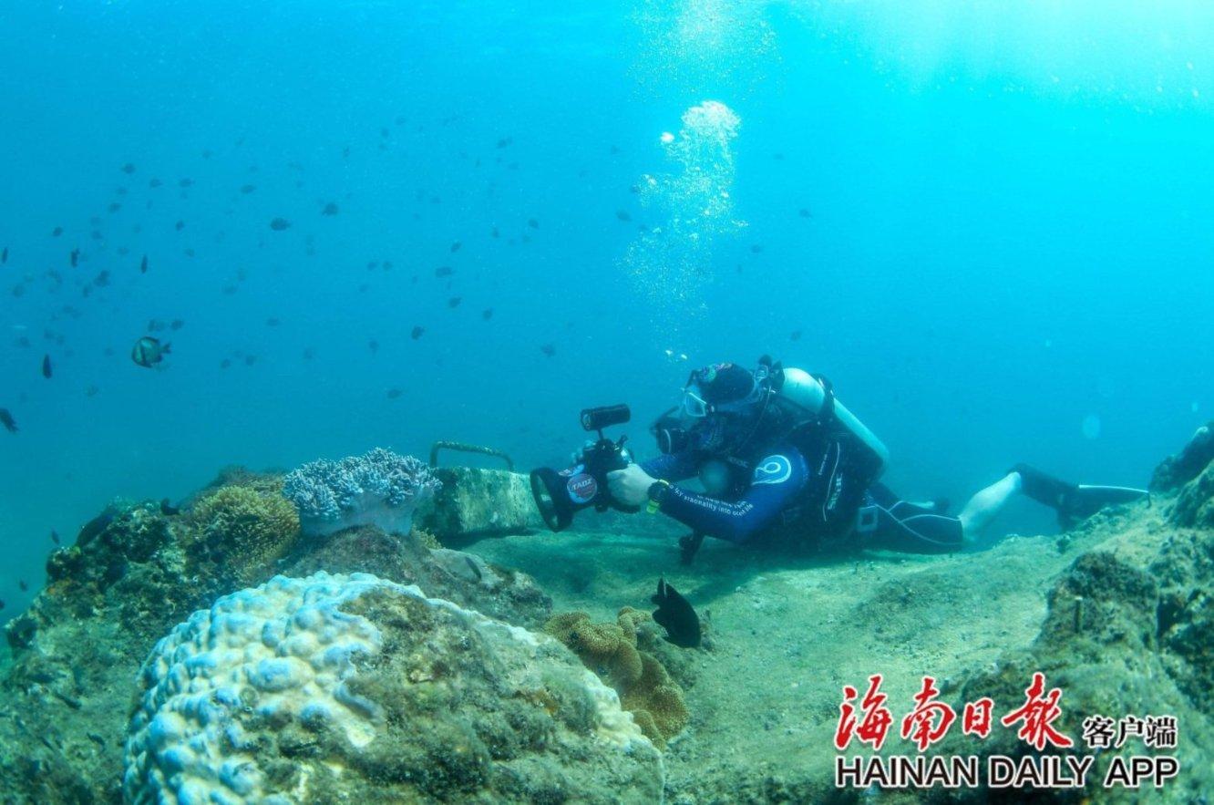 睡不好。。游戏画面