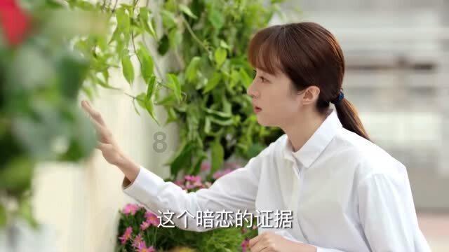 与繁“花”“香”拥 海南屯昌的热带特色高效农业产业有多“香”?
